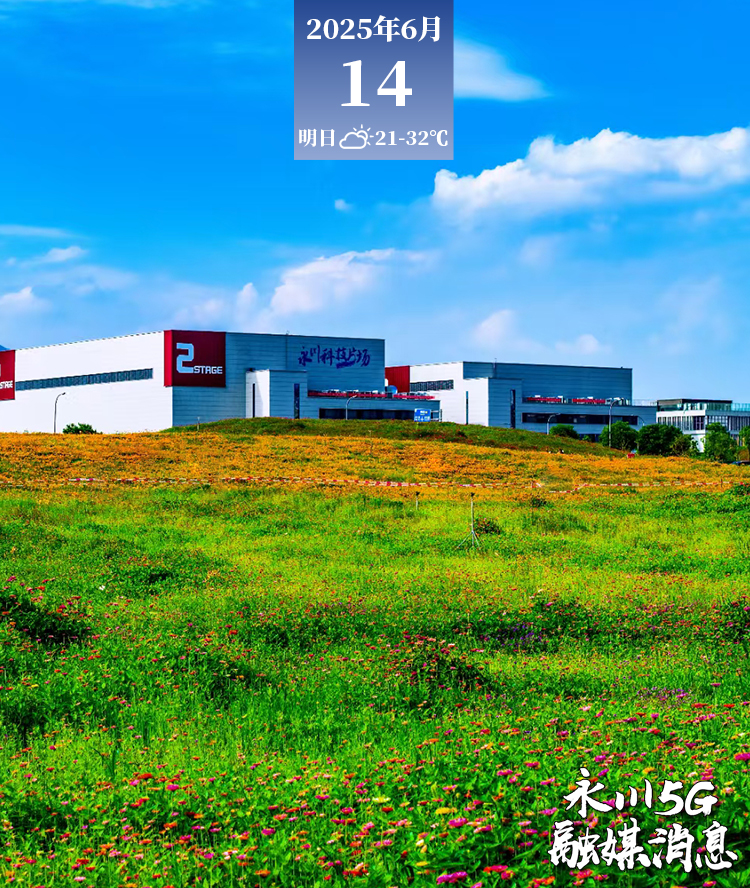  2025年6月14日永川5G融媒消息