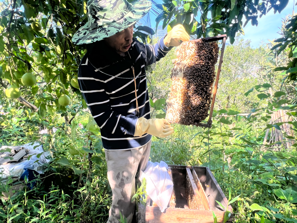 蜂蜜