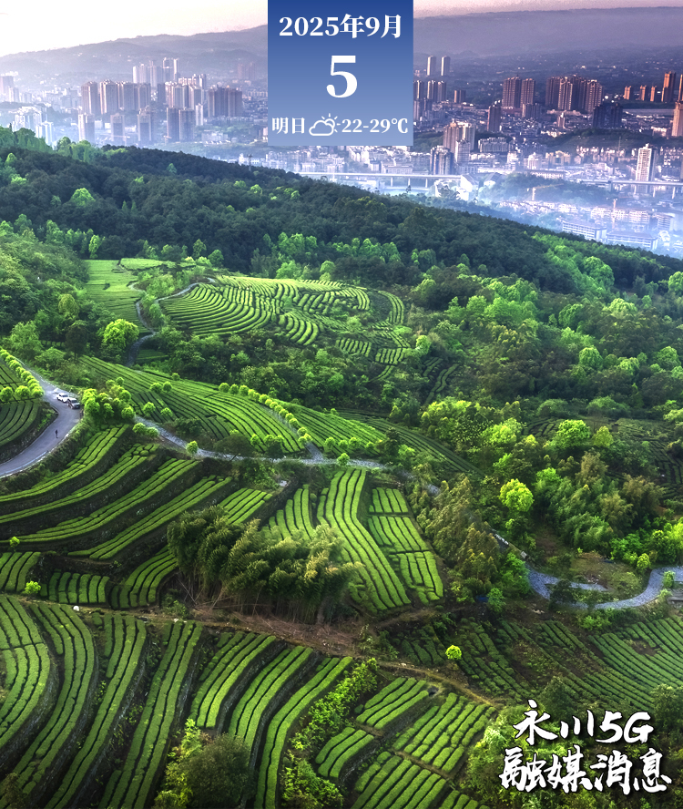  2025年9月5日永川5G融媒消息
