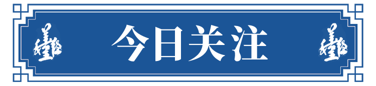 今日关注