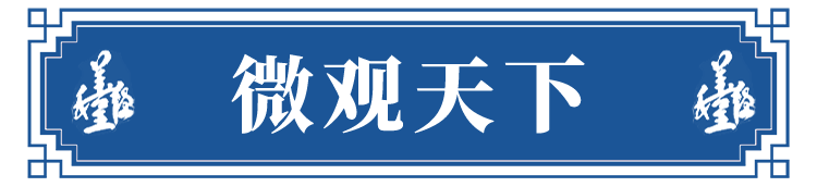 微观天下