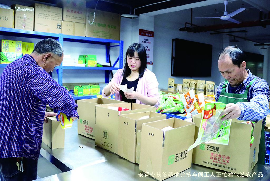 安置点扶贫基地分拣车间工人正忙着包装农产品_副本