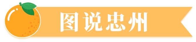 banner橙子（图说忠州）