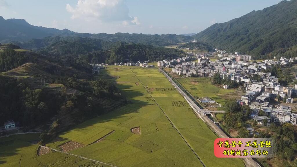宁愿