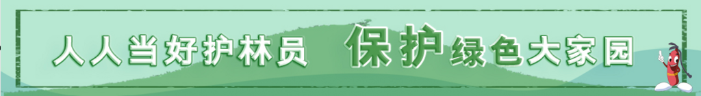 微信图片_20240909112052