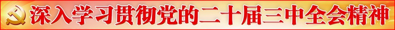 学习贯彻二十届三中全会精神题花_副本