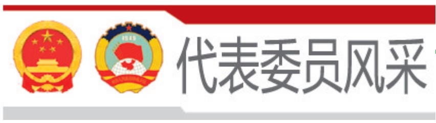 代表委员风采