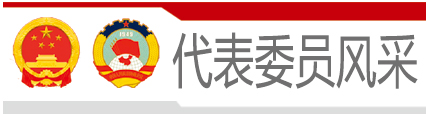 代表委员风采