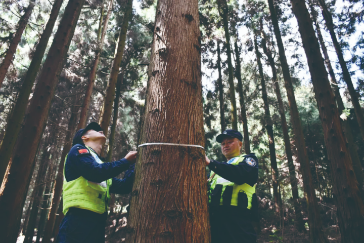 “山林警长”下沉到林区