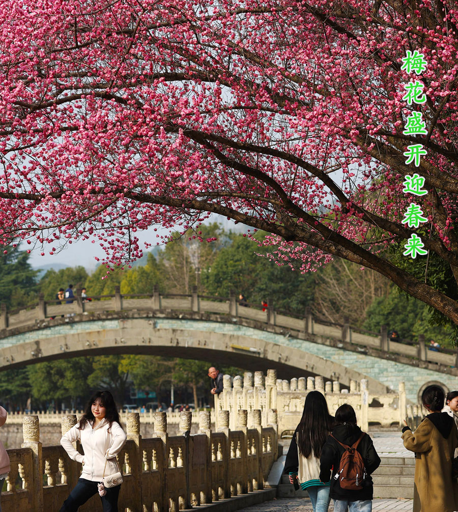 _　(分离图)1t2(1146447)-202