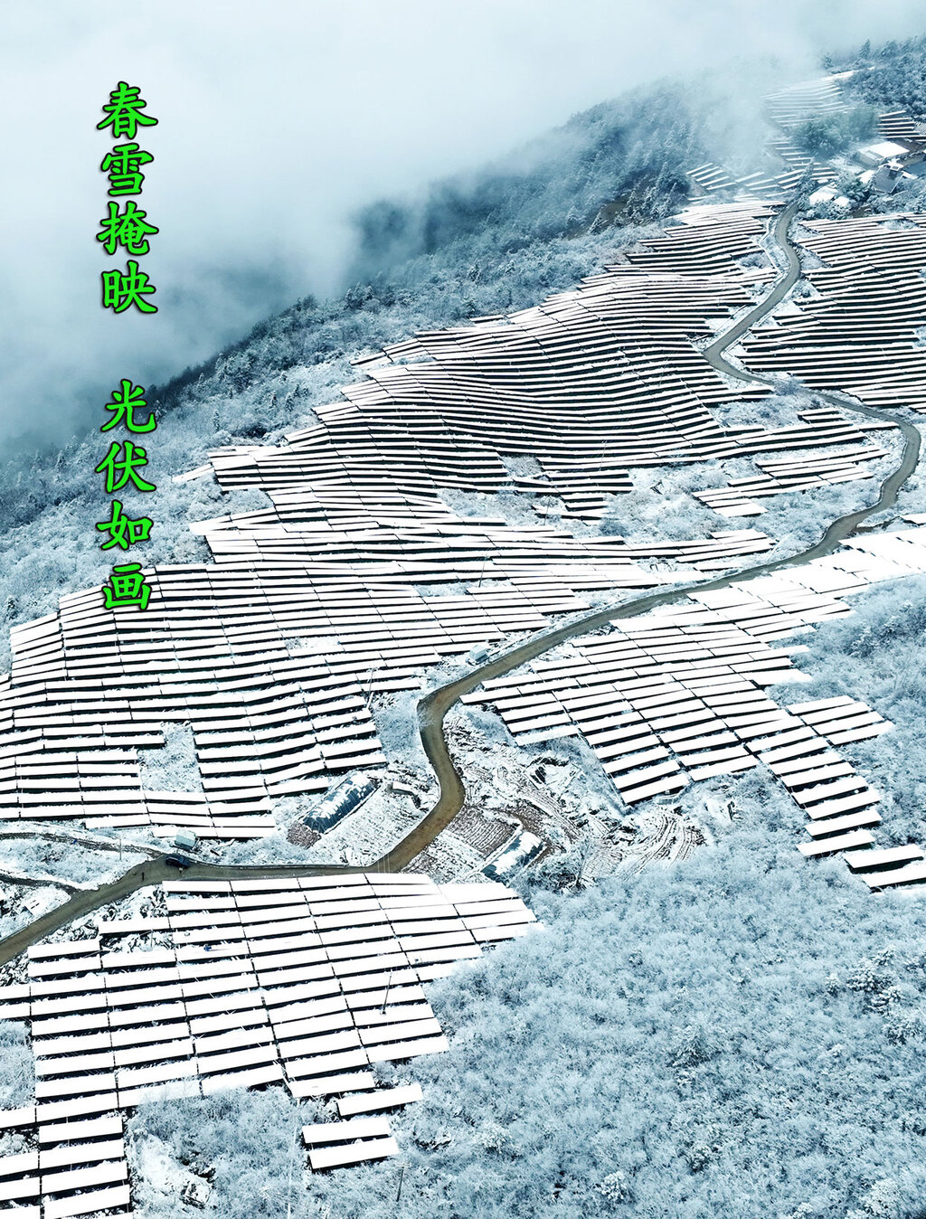 2025年3月6日，春雪覆盖着重