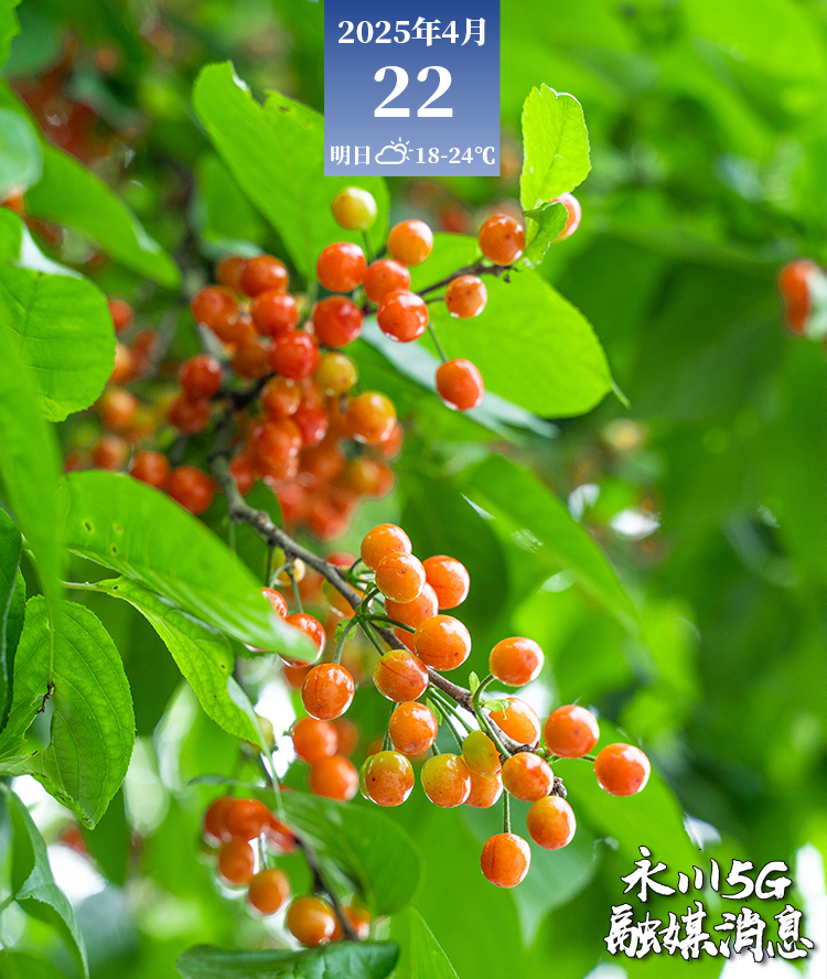  2025年4月22日永川5G融媒消息