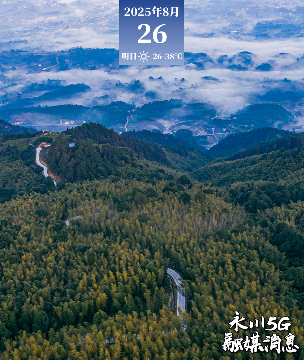  2025年8月26日永川5G融媒消息
