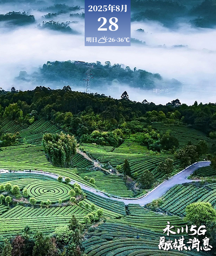  2025年8月28日永川5G融媒消息
