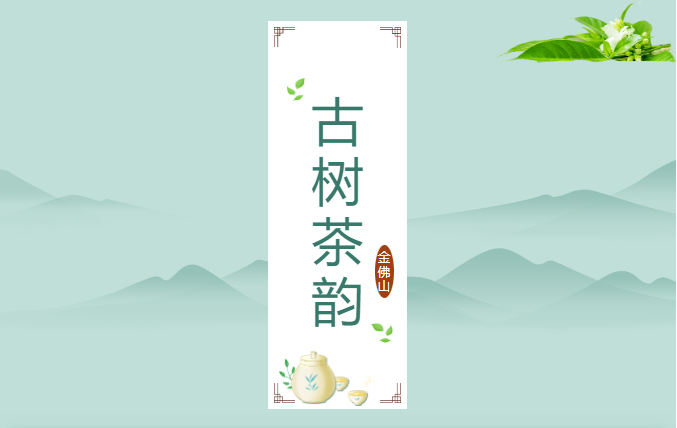 传统文化推介官│第一季 寻山问茶·金佛山古树茶韵