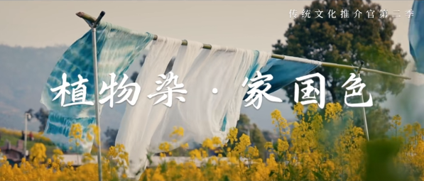 传统文化推介官│第二季第一集 植物染 家国色与您见面啦！