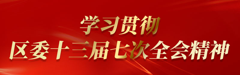 学习贯彻区委十三届七次全会精神2