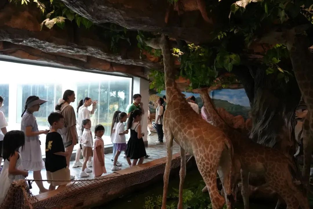微信图片_2025-07-23_165430_075