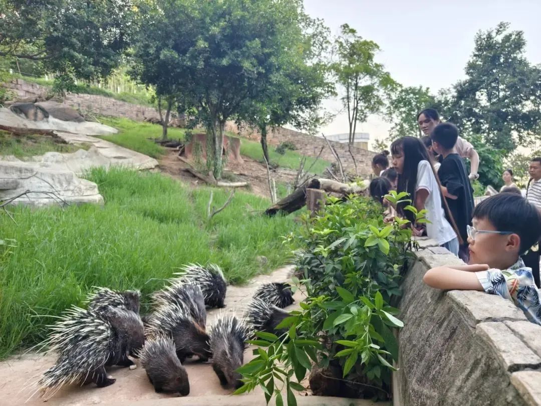 微信图片_2025-07-23_165446_148