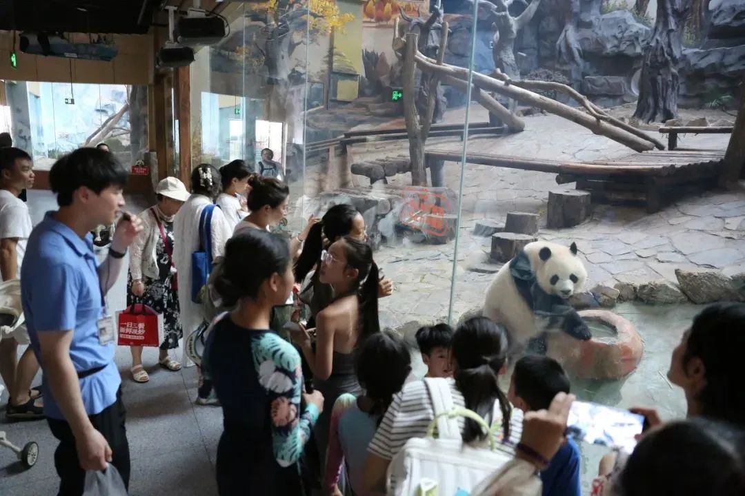 微信图片_2025-07-23_165453_900