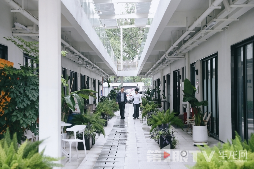 园区工作人员对公共区域的设计进行讨论。第1眼TV—华龙网记者辛飞 摄