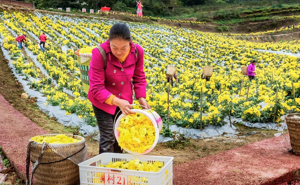 e0ec382909d54e519e0efae5f5df3171