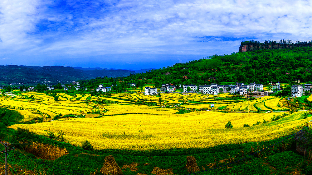 万州乡村。市农业农村委供图