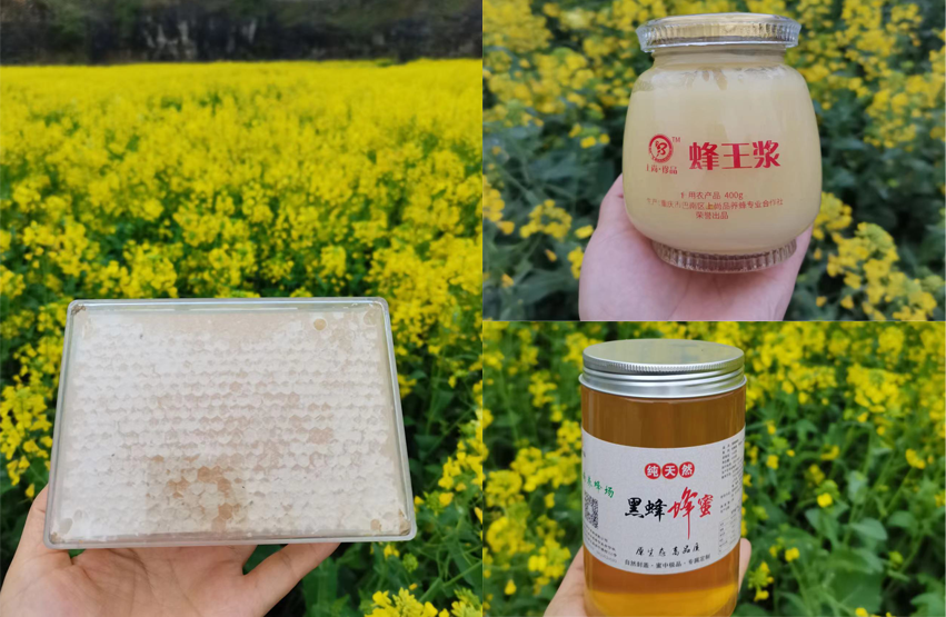 581ee3e42e1147e99845fce92fff158b