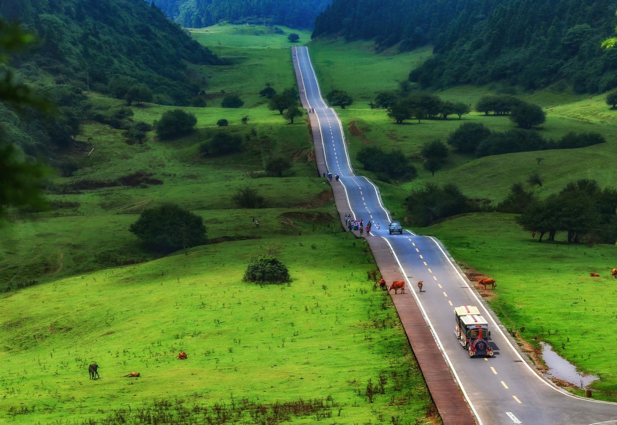 仙女山大草原。受访者供图