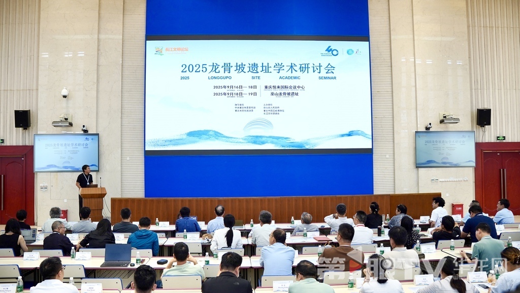 2025龙骨坡遗址学术报告会活动现场。 第1眼TV-华龙网记者 刘钊 摄