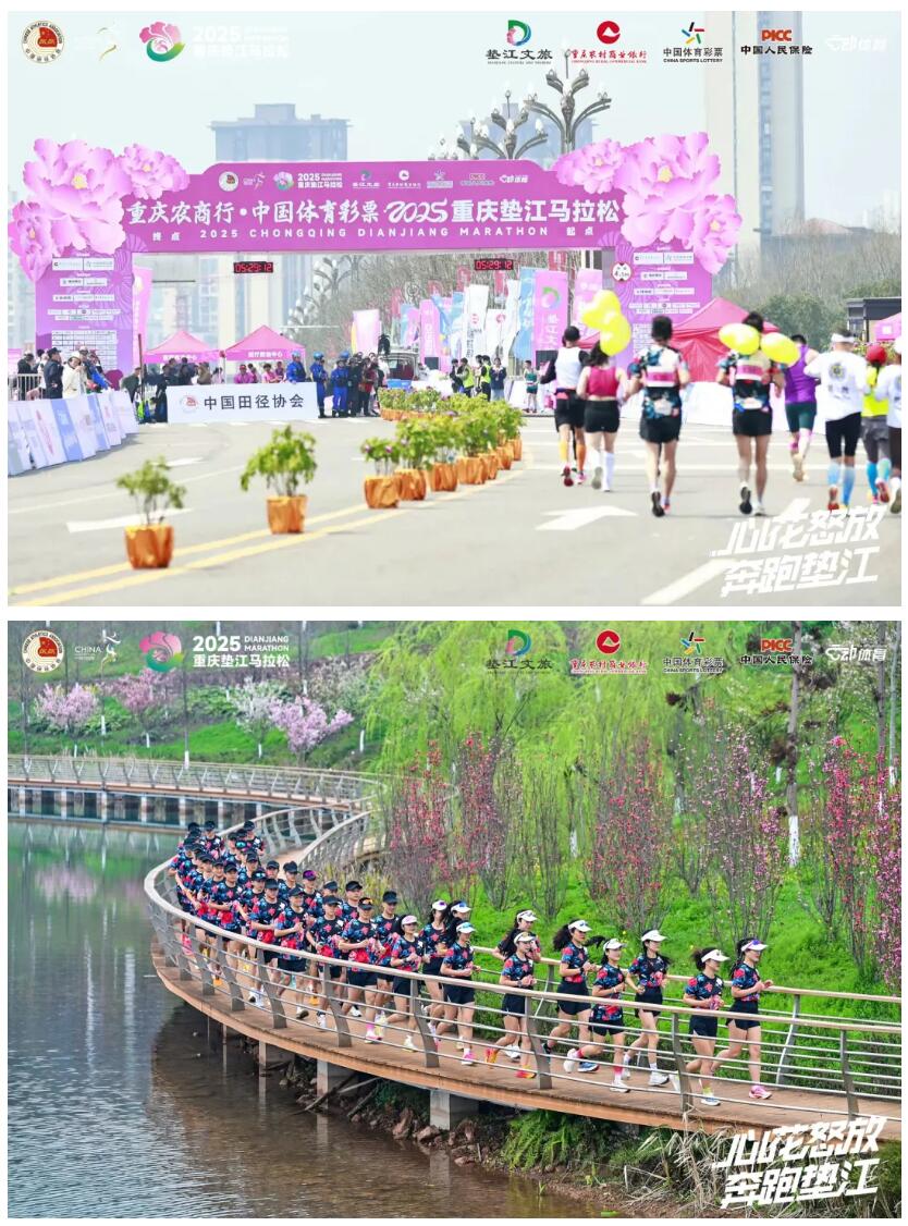 QQ截图20250327093312