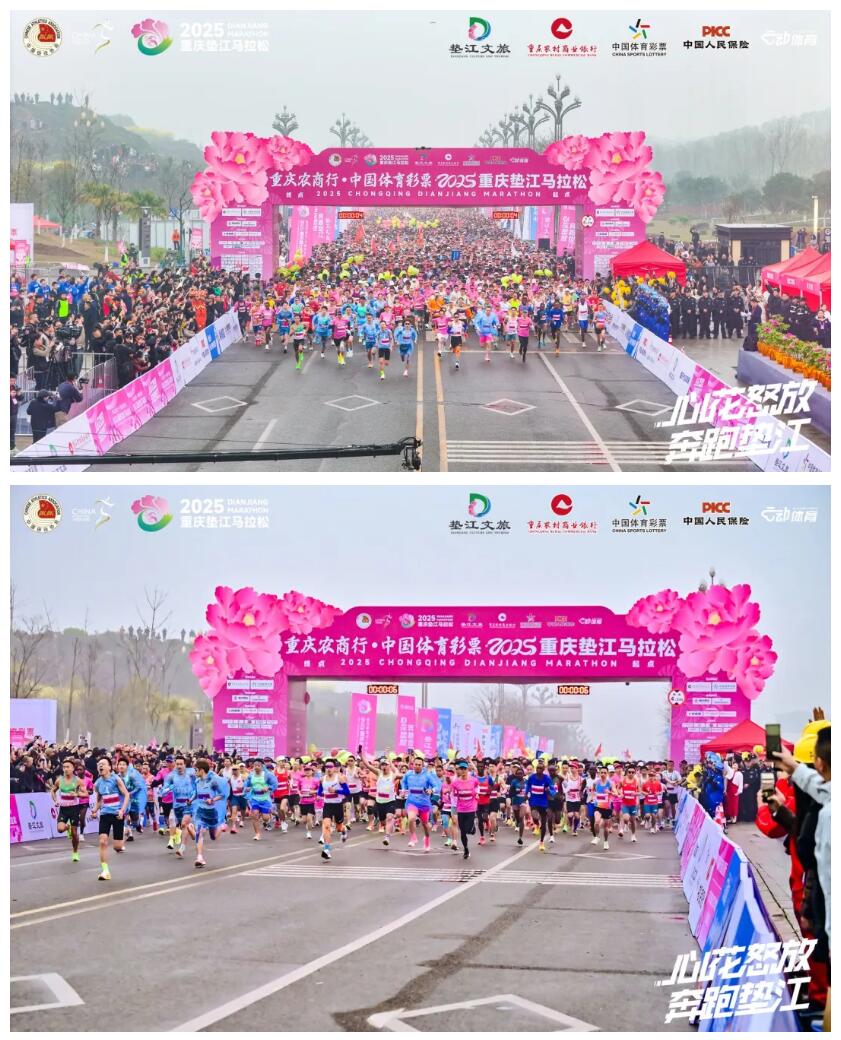 QQ截图20250327093321
