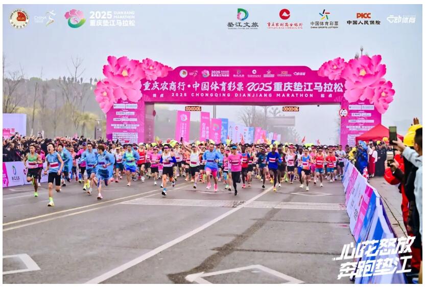 QQ截图20250430175753