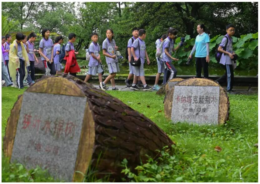 QQ截图20250630160317