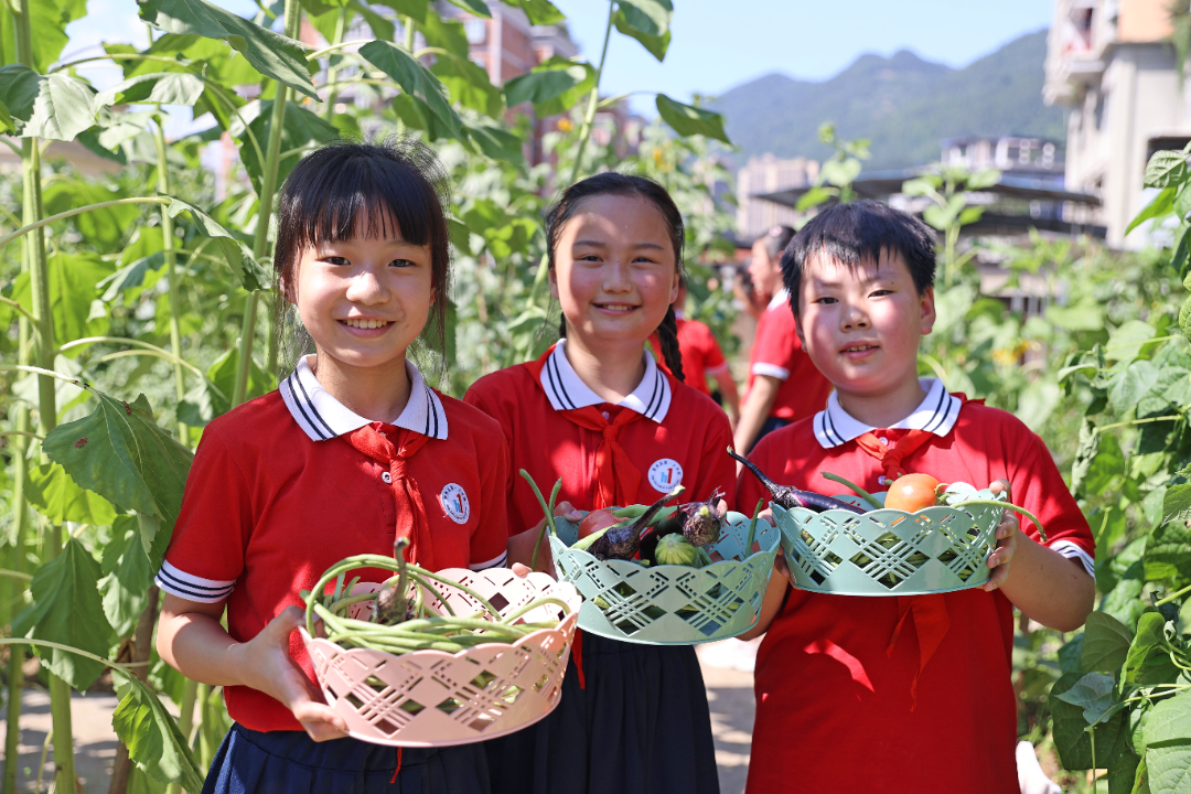 彭水：楼顶菜园  劳动乐园