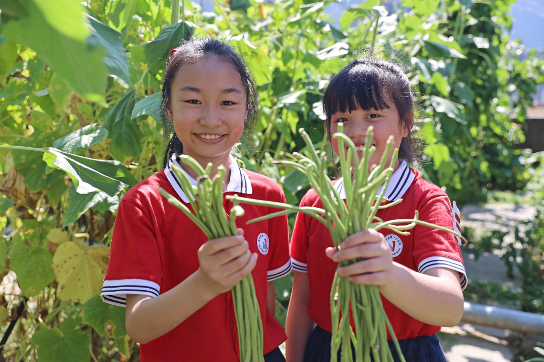 2024年6月12日，重庆市彭水苗族土家族自治县第一小学校三年级5班的孩子们正在楼顶菜园劳作，小朋友们正在展示自己采摘的蔬菜，丰收的喜悦溢于言表。 (2).jpg
