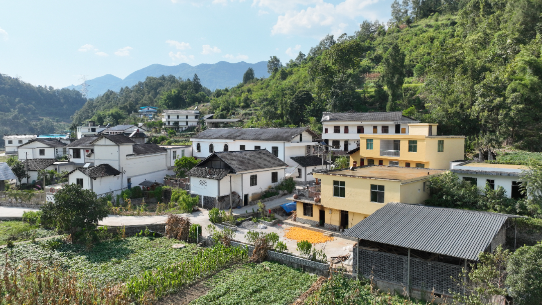 郁山镇铜锣村一角。 记者 谢云芳 摄影.jpg