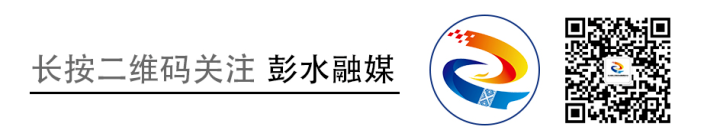 大垭乡木蜡村：立体套种模式 “一亩”变“三亩” 增添产业新活力