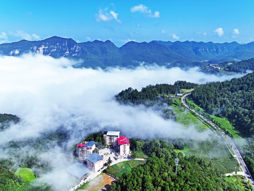 在重庆市彭水苗族土家族自治县摩围山，森林茂盛、风景优美的景色，吸引不少游客前来避暑纳凉。赵勇  摄影