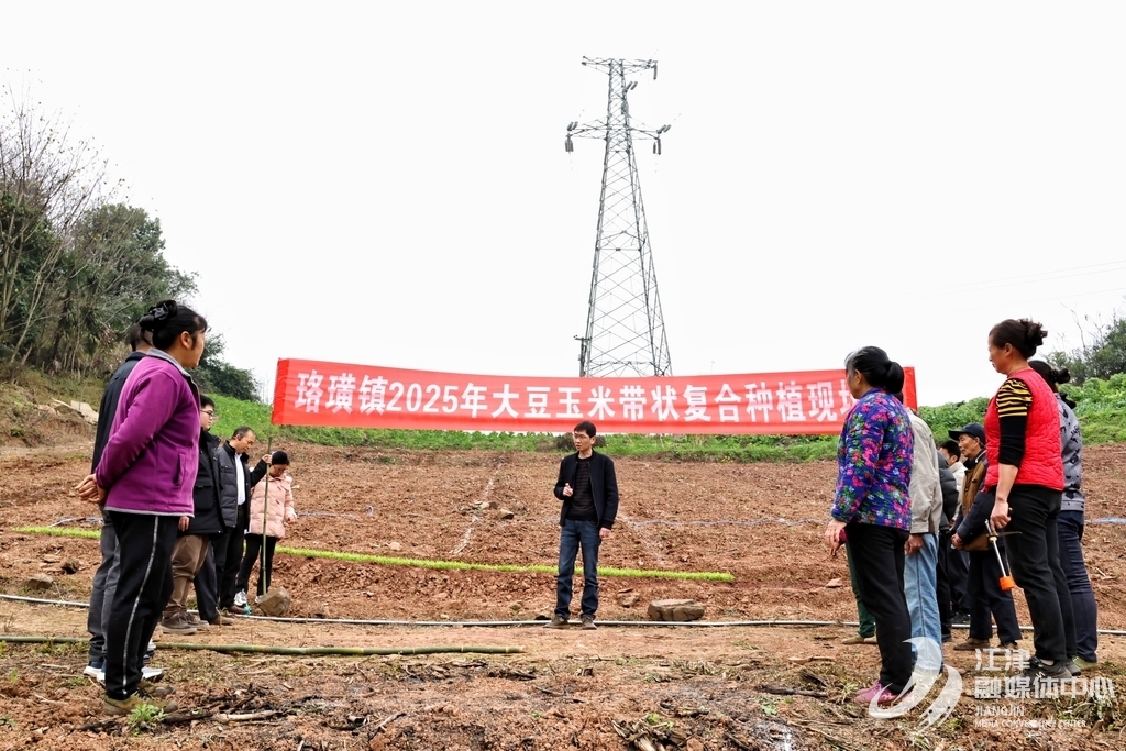 在撂荒地现场开展技术指导,统一规划最适宜的农作物。 记者 周小烨 摄