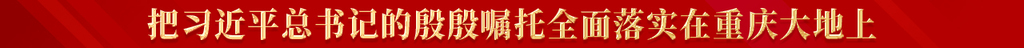 把习近平总书记的殷殷嘱托全面落实在重庆大地上