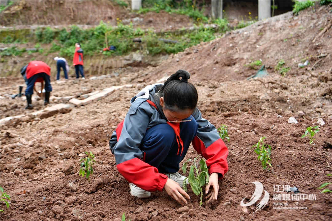 落实“五育”并举 聚奎中学打造“耕梦园”劳动教育实践基地