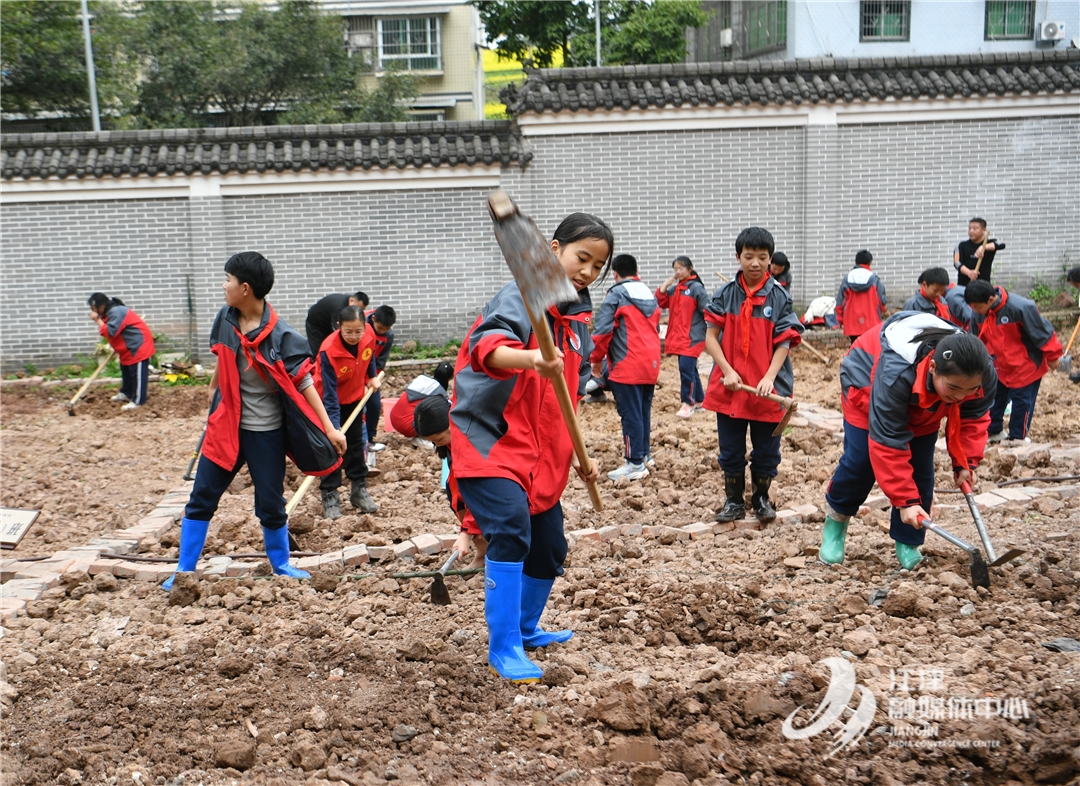 落实“五育”并举 聚奎中学打造“耕梦园”劳动教育实践基地