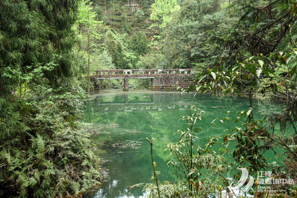 天鹅湖沿岸
