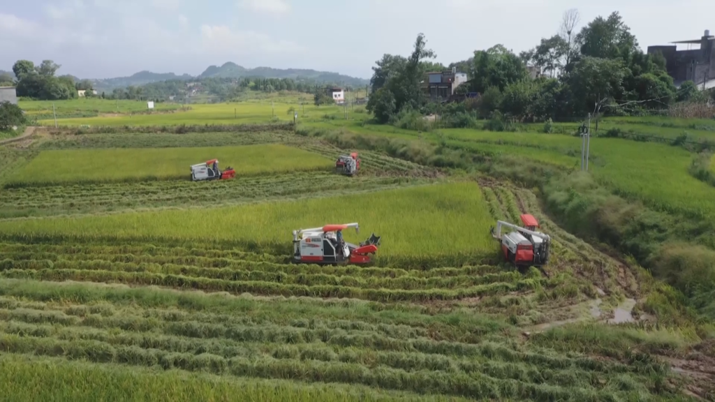 微信图片_2025-09-22_200437_814