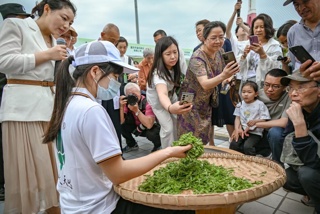茶乡的茶受到市民们的青睐(8170600)-20250915084344