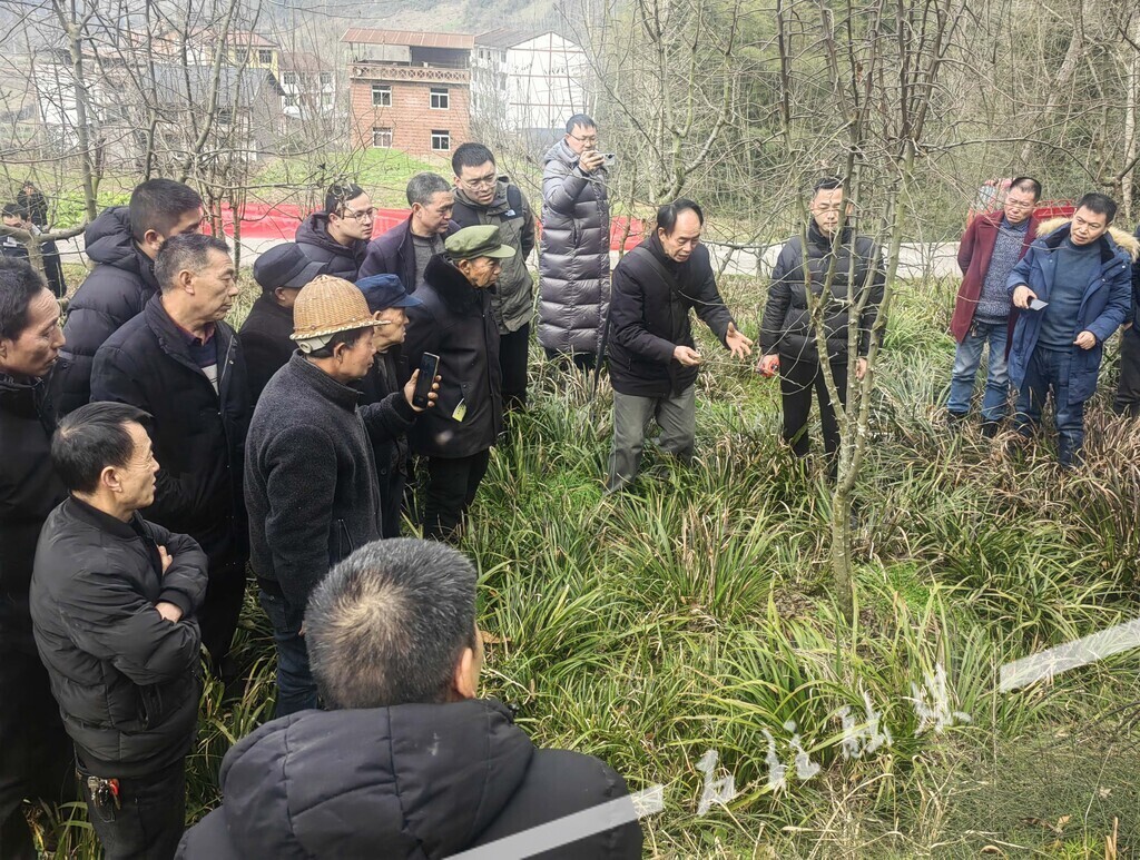 培训活动现场 (1)