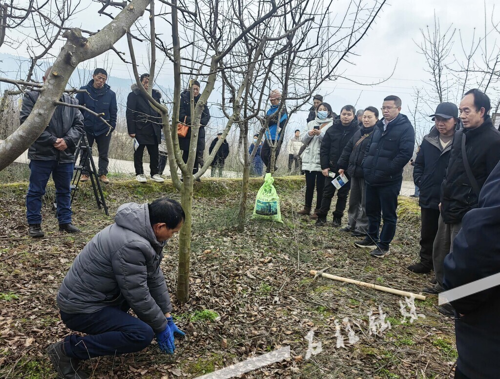 培训活动现场 (4)