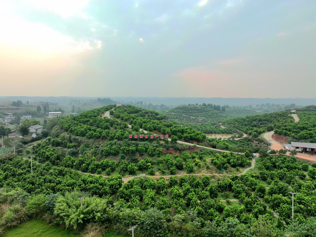 打造幸福河库 众享“丰”“景”长留 ——荣昌区幸福河库建设“百千行动”工作记略