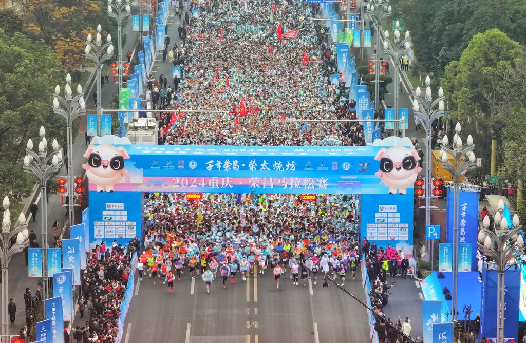 QQ图片20241230092854